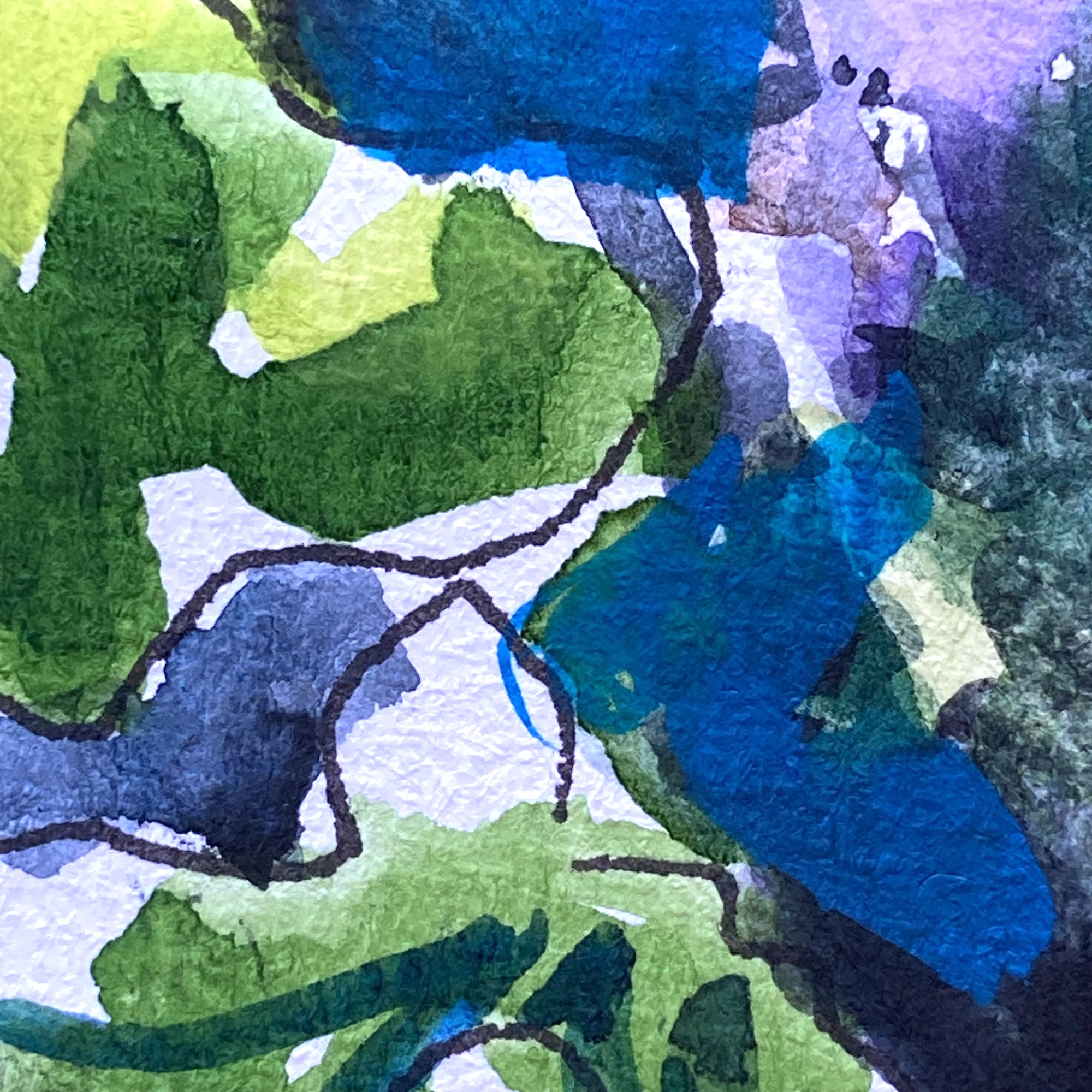 aquarelle amélie moisy